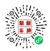 推動(dòng)新能源汽車產(chǎn)業(yè)全球化發(fā)展.