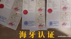 在華中非領(lǐng)事館加簽